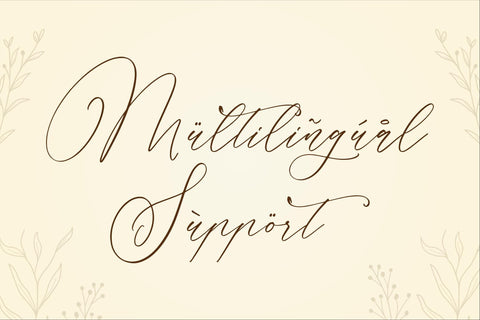 Parmidass Elarista - Luxury Script Font Font Storytype Studio 