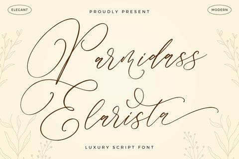 Parmidass Elarista - Luxury Script Font Font Storytype Studio 