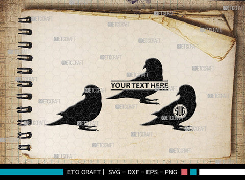 Parrot Bird Monogram, Parrot Bird Silhouette, Parrot Bird SVG, Parrot Bird Svg, Parrot Svg, Bird Svg, Pet Bird Svg, SB00299 SVG ETC Craft 