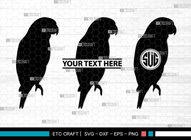 Parrot Bird Monogram, Parrot Bird Silhouette, Parrot Bird SVG, Parrot Bird Svg, Parrot Svg, Bird Svg, Pet Bird Svg, SB00299 SVG ETC Craft 