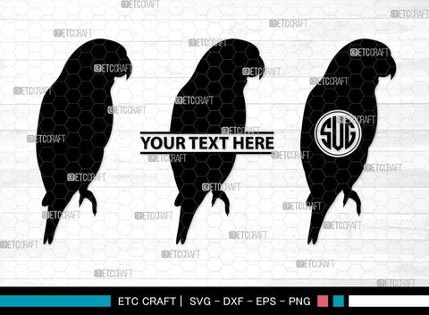 Parrot Bird Monogram, Parrot Bird Silhouette, Parrot Bird SVG, Parrot Bird Svg, Parrot Svg, Bird Svg, Pet Bird Svg, SB00299 SVG ETC Craft 