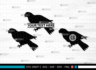 Parrot Bird Monogram, Parrot Bird Silhouette, Parrot Bird SVG, Parrot Bird Svg, Parrot Svg, Bird Svg, Pet Bird Svg, SB00299 SVG ETC Craft 