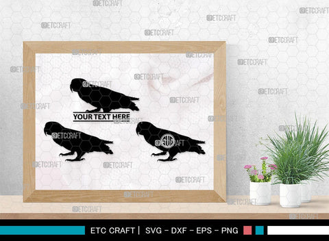 Parrot Bird Monogram, Parrot Bird Silhouette, Parrot Bird SVG, Parrot Bird Svg, Parrot Svg, Bird Svg, Pet Bird Svg, SB00299 SVG ETC Craft 