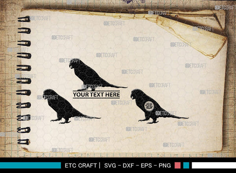 Parrot Bird Monogram, Parrot Bird Silhouette, Parrot Bird SVG, Parrot Bird Svg, Parrot Svg, Bird Svg, Pet Bird Svg, SB00299 SVG ETC Craft 