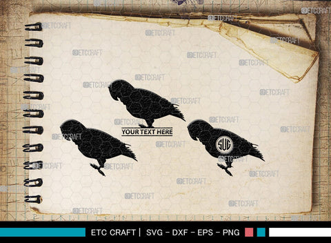 Parrot Bird Monogram, Parrot Bird Silhouette, Parrot Bird SVG, Parrot Bird Svg, Parrot Svg, Bird Svg, Pet Bird Svg, SB00299 SVG ETC Craft 