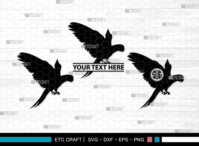 Parrot Bird Monogram, Parrot Bird Silhouette, Parrot Bird SVG, Parrot Bird Svg, Parrot Svg, Bird Svg, Pet Bird Svg, SB00299 SVG ETC Craft 
