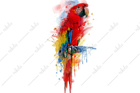 Parrot Macaw Watercolor Sublimation Clipart PNG JPG Sublimation nikola 