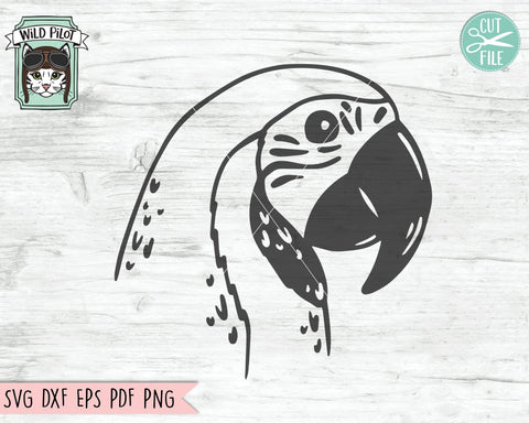 Parrot svg file, Parrot cut file, Animal Face, Parrot Face svg, Animal svg file, Animal Face, Summer svg file, Bird, Tropical Bird svg file SVG Wild Pilot 