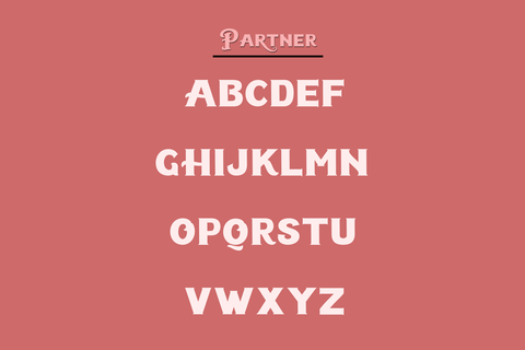 Partner | Serif Font Naqsya.Co 
