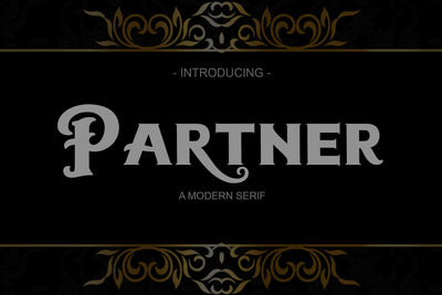 Partner | Serif Font Naqsya.Co 