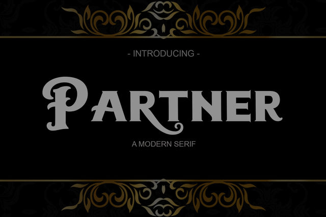 Partner | Serif Font Naqsya.Co 