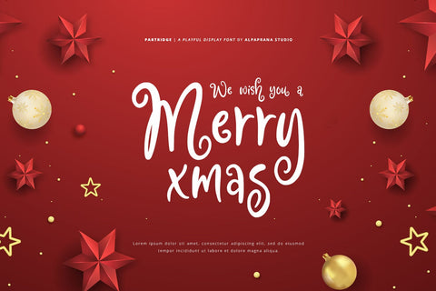 Partridge - Playful Font Font Alpaprana Studio 