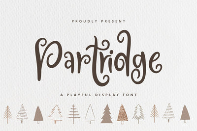 Partridge - Playful Font Font Alpaprana Studio 