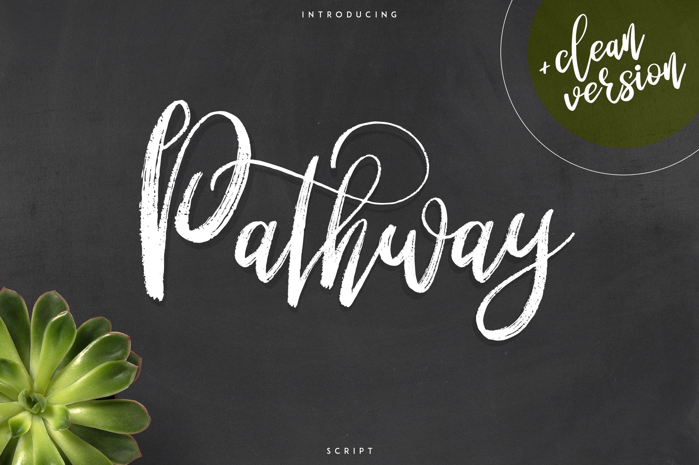 Pathway script - 2 styles - So Fontsy