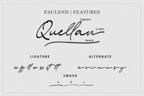 Paulend A Handwritten Script Font Font Balevgraph Studio 