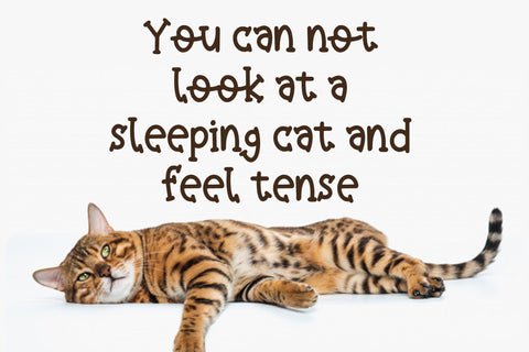 Pawsitive Font dapiyupi store 