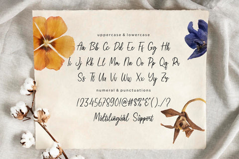 Peachbeary Font Qwrtype Foundry 