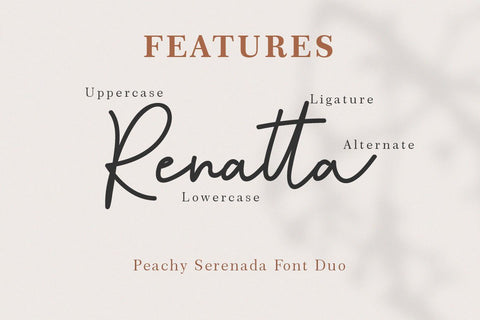Peachy Serenada Font Duo Font Balevgraph Studio 
