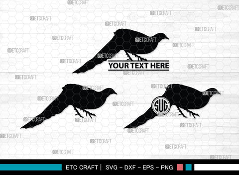 Peacock Monogram, Peacock Silhouette, Peacock SVG, Peacock Bird Svg, Peacock Feathe Svg, Birds Svg, SB00300 SVG ETC Craft 