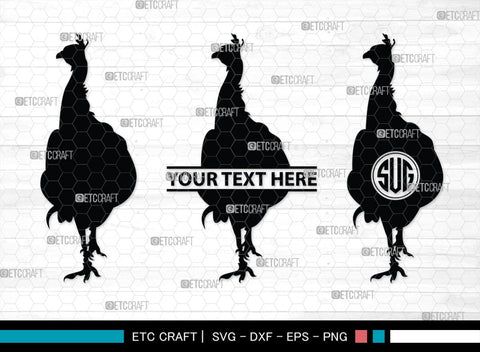 Peacock Monogram, Peacock Silhouette, Peacock SVG, Peacock Bird Svg, Peacock Feathe Svg, Birds Svg, SB00300 SVG ETC Craft 