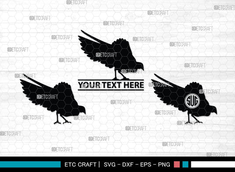 Peacock Monogram, Peacock Silhouette, Peacock SVG, Peacock Bird Svg, Peacock Feathe Svg, Birds Svg, SB00300 SVG ETC Craft 