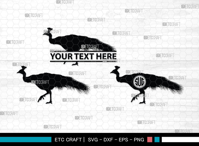 Peacock Monogram, Peacock Silhouette, Peacock SVG, Peacock Bird Svg, Peacock Feathe Svg, Birds Svg, SB00300 SVG ETC Craft 
