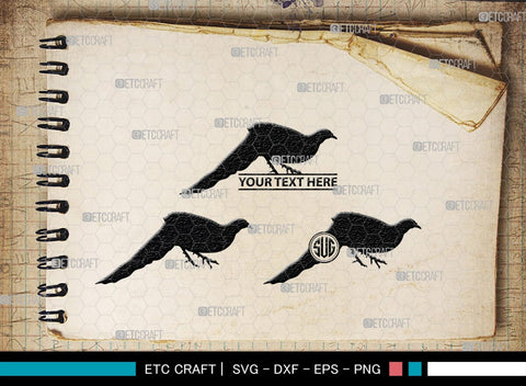 Peacock Monogram, Peacock Silhouette, Peacock SVG, Peacock Bird Svg, Peacock Feathe Svg, Birds Svg, SB00300 SVG ETC Craft 