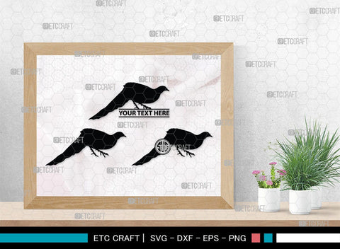 Peacock Monogram, Peacock Silhouette, Peacock SVG, Peacock Bird Svg, Peacock Feathe Svg, Birds Svg, SB00300 SVG ETC Craft 