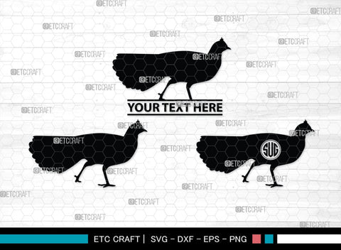 Peacock Monogram, Peacock Silhouette, Peacock SVG, Peacock Bird Svg, Peacock Feathe Svg, Birds Svg, SB00300 SVG ETC Craft 