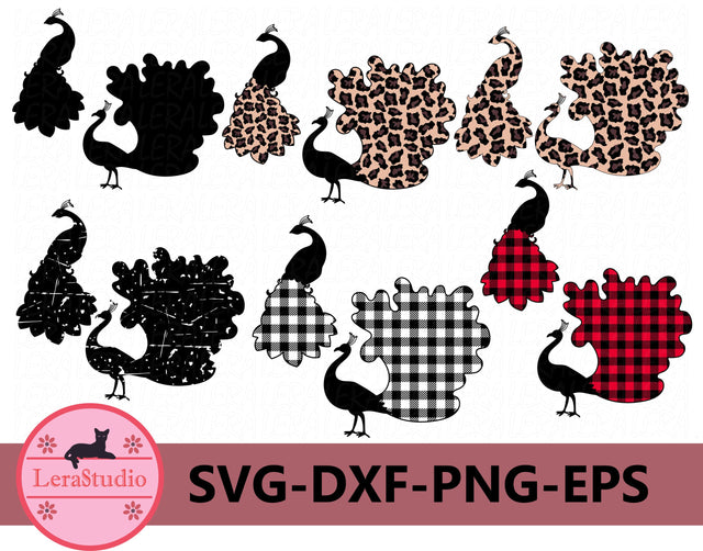 Peacock SVG SVG Lerastudio 