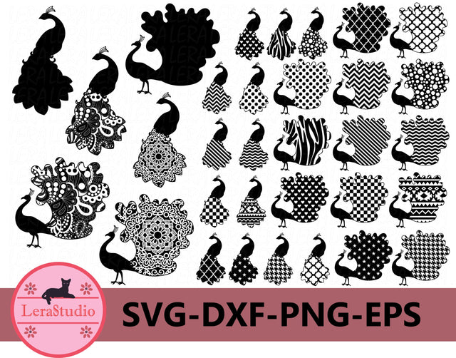 Peacock SVG SVG Lerastudio 