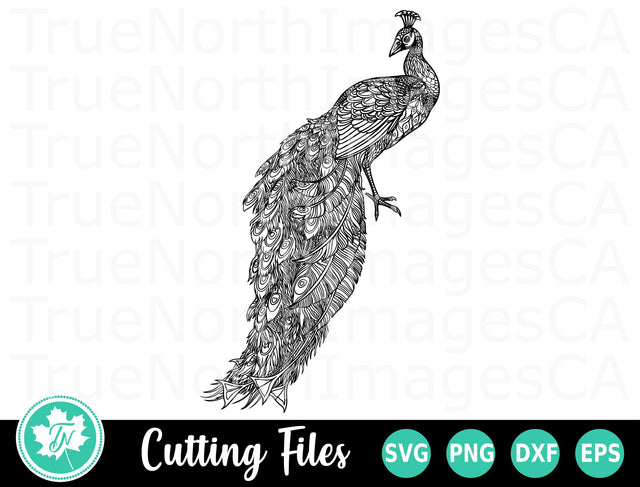 Peacock SVG | Zentangle SVG | Mandala SVG SVG TrueNorthImagesCA 