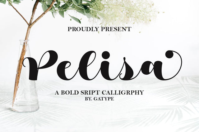 Pelisa Font gatype 