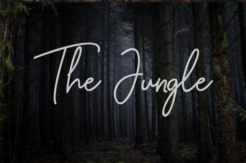 Pelytta - Handwritten Script Font Font Balevgraph Studio 