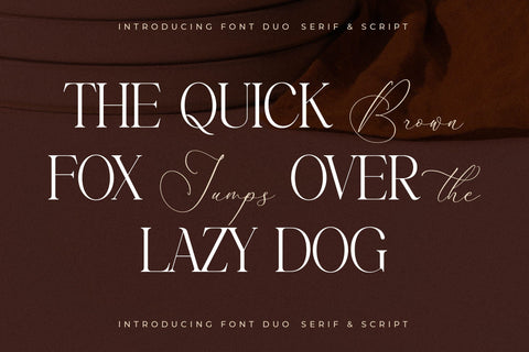 Pemberton Marsden Font Duo Font Storytype Studio 