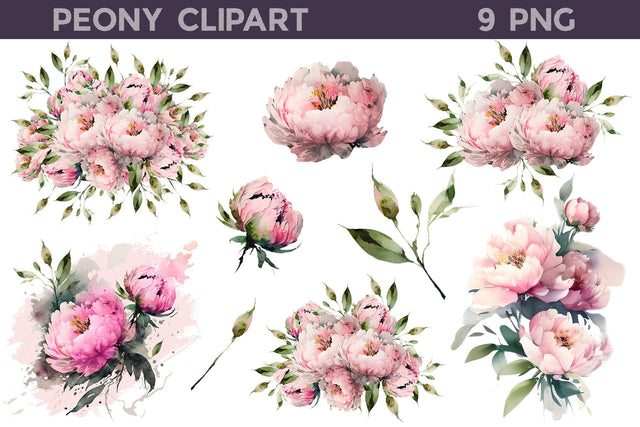 Peony Clipart PNG | Peonies Illustration PNG Sublimation WatercolorColorDream 