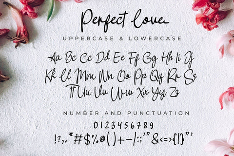 Perfect Love Font LetterdayStudio 