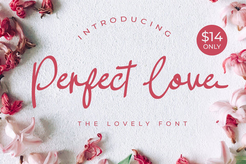 Perfect Love Font LetterdayStudio 