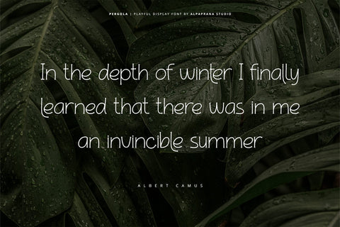 Pergola - Playful Display Font Font Alpaprana Studio 