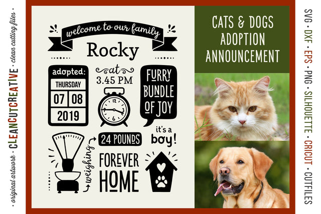 Pet Adoption Cat Kitten Dog Puppy Announcement Template SVG SVG CleanCutCreative 