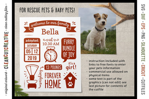 Pet Adoption Cat Kitten Dog Puppy Announcement Template SVG SVG CleanCutCreative 