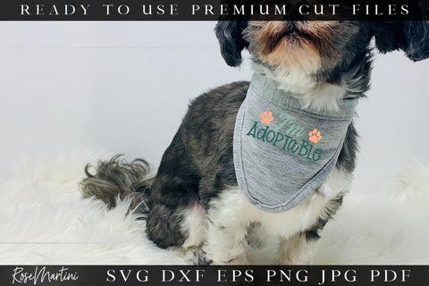 Pet Adoption SVG Bundle | Pet Rescue Cut Files | Pet Adoption Quotes SVG SVG RoseMartiniDesigns 