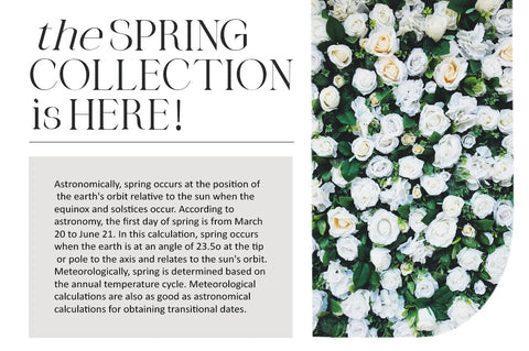 Phoveus Font Youngtype 