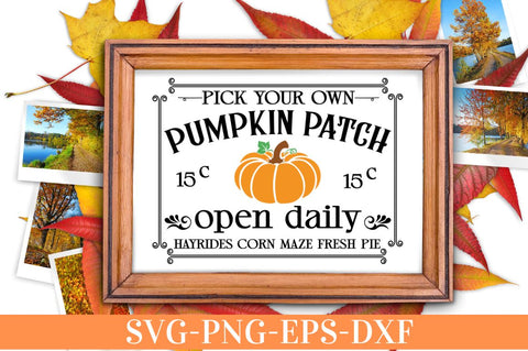 Pick your own pumpkin patch 15c open daily hayrides corn maze fresh pie SVG SVG DESIGNISTIC 