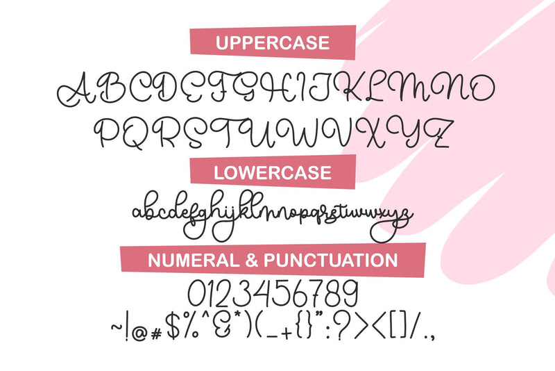 Picky Nice font duo - So Fontsy