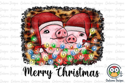 Pig Christmas PNG Sublimation Sublimation Owlsome.Designs 