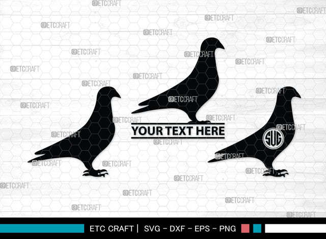 Pigeon Monogram, Pigeon Silhouette, Pigeon SVG, Pigeon, Pet Bird Svg, Dove Svg, Bird Svg, SB00304 SVG ETC Craft 