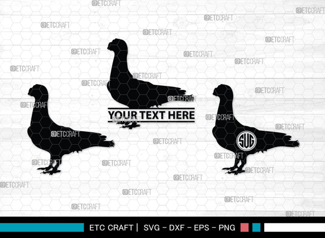 Pigeon Monogram, Pigeon Silhouette, Pigeon SVG, Pigeon, Pet Bird Svg, Dove Svg, Bird Svg, SB00304 SVG ETC Craft 