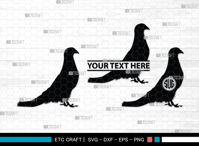 Pigeon Monogram, Pigeon Silhouette, Pigeon SVG, Pigeon, Pet Bird Svg, Dove Svg, Bird Svg, SB00304 SVG ETC Craft 