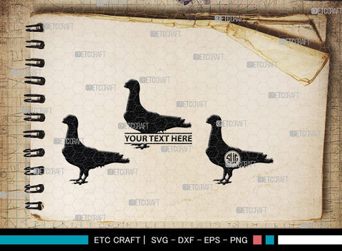 Pigeon Monogram, Pigeon Silhouette, Pigeon SVG, Pigeon, Pet Bird Svg, Dove Svg, Bird Svg, SB00304 SVG ETC Craft 